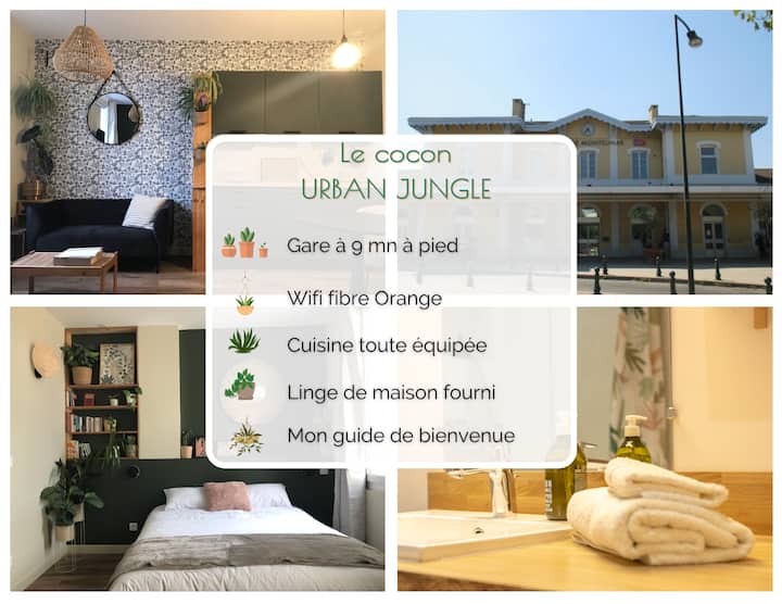 Cocon - Jungle urbaine