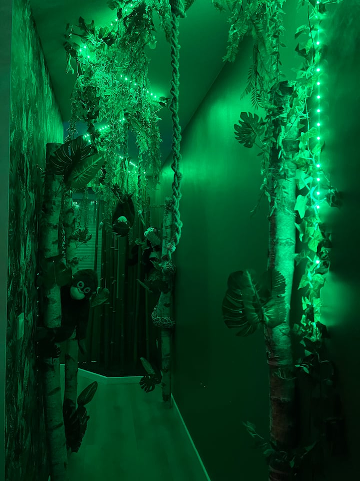 La Suite Oasis - Balnéo - Jungle Room